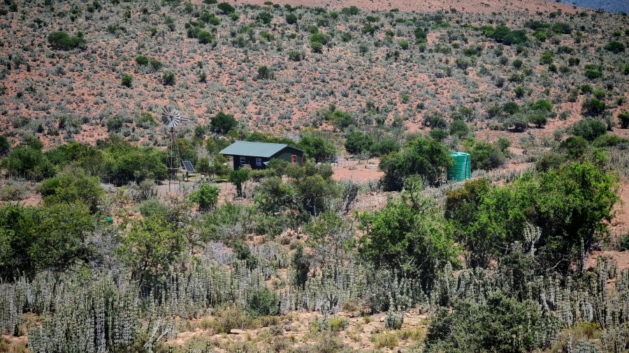 6 Bedroom Property for Sale in Pearston Eastern Cape